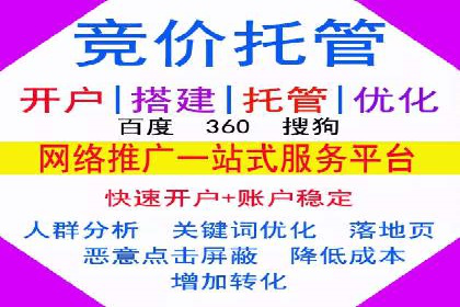 SEM精准广告投放的五大成功案例